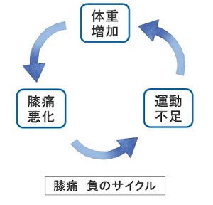 膝痛　負のサイクル