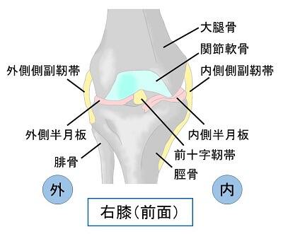 右膝（前面）