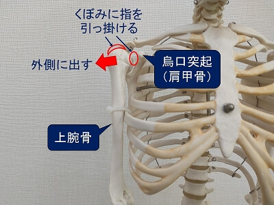 肩関節の内側の隙間を広げる